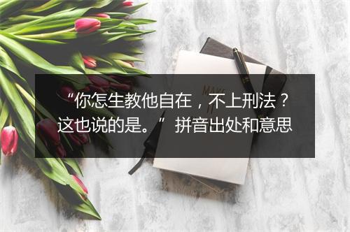 “你怎生教他自在，不上刑法？这也说的是。”拼音出处和意思