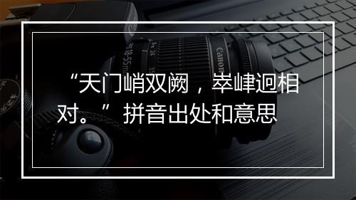 “天门峭双阙，崒峍迥相对。”拼音出处和意思