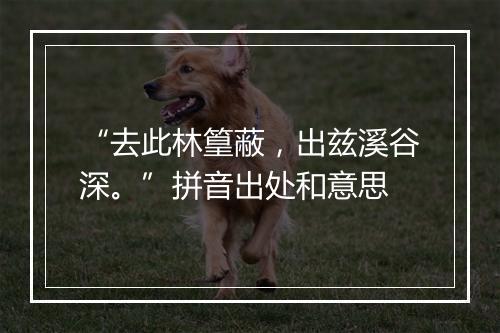 “去此林篁蔽，出兹溪谷深。”拼音出处和意思