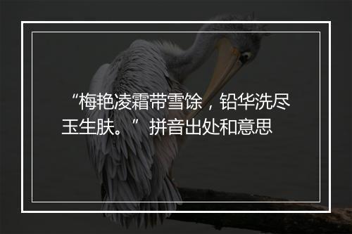 “梅艳凌霜带雪馀，铅华洗尽玉生肤。”拼音出处和意思