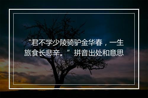 “君不学少陵骑驴金华春，一生旅食长悲辛。”拼音出处和意思