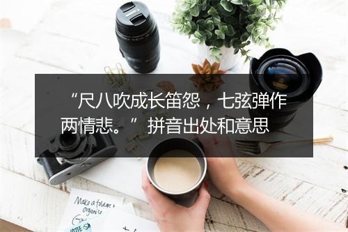 “尺八吹成长笛怨，七弦弹作两情悲。”拼音出处和意思