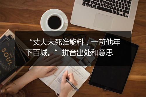 “丈夫未死谁能料，一笴他年下百城。”拼音出处和意思