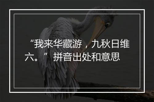 “我来华藏游，九秋日维六。”拼音出处和意思