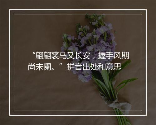 “翩翩裘马又长安，握手风期尚未阑。”拼音出处和意思