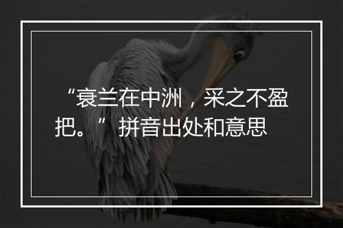 “衰兰在中洲，采之不盈把。”拼音出处和意思