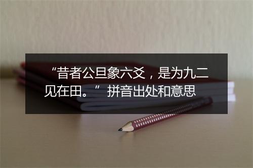 “昔者公旦象六爻，是为九二见在田。”拼音出处和意思