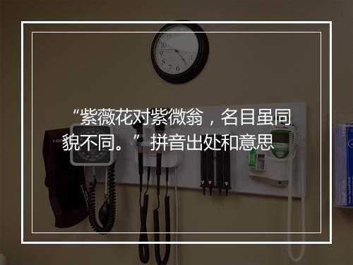 “紫薇花对紫微翁，名目虽同貌不同。”拼音出处和意思