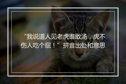 “我说道人见老虎谁敢汤，虎不伤人吃个屁！”拼音出处和意思