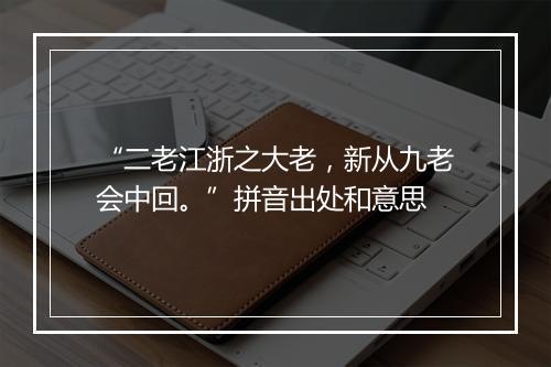 “二老江浙之大老，新从九老会中回。”拼音出处和意思