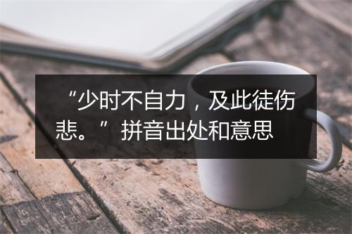 “少时不自力，及此徒伤悲。”拼音出处和意思