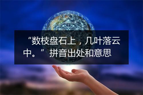 “数枝盘石上，几叶落云中。”拼音出处和意思