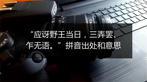 “应讶野王当日，三弄罢、乍无语。”拼音出处和意思