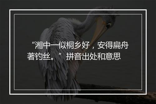 “湘中一似桐乡好，安得扁舟著钓丝。”拼音出处和意思