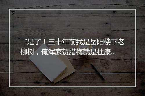 “是了！三十年前我是岳阳楼下老柳树，俺浑家贺腊梅就是杜康庙前白梅树。”拼音出处和意思