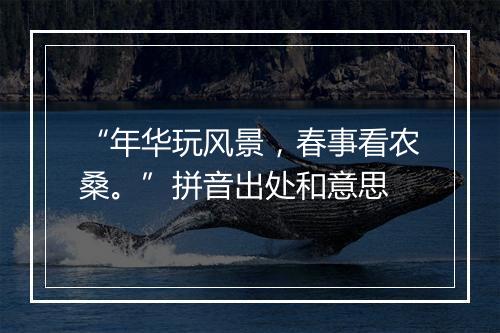 “年华玩风景，春事看农桑。”拼音出处和意思