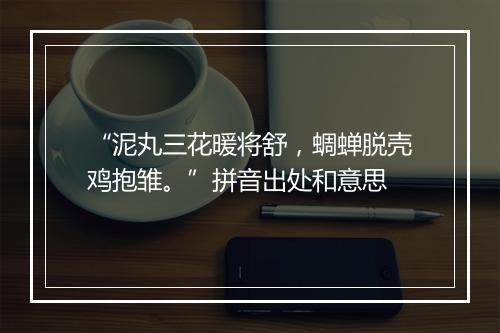 “泥丸三花暖将舒，蜩蝉脱壳鸡抱雏。”拼音出处和意思