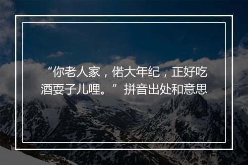 “你老人家，偌大年纪，正好吃酒耍子儿哩。”拼音出处和意思