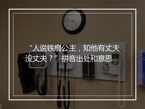 “人说铁扇公主，知他有丈夫没丈夫？”拼音出处和意思