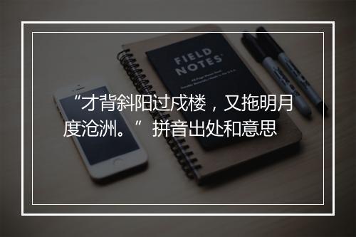 “才背斜阳过戍楼，又拖明月度沧洲。”拼音出处和意思