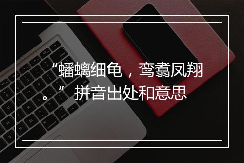 “蟠螭细龟，鸾翥凤翔。”拼音出处和意思