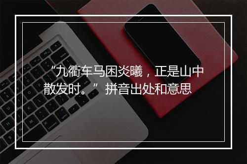 “九衢车马困炎曦，正是山中散发时。”拼音出处和意思