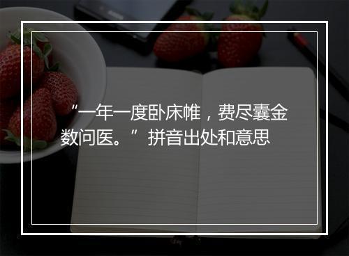 “一年一度卧床帷，费尽囊金数问医。”拼音出处和意思