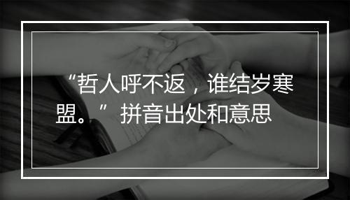 “哲人呼不返，谁结岁寒盟。”拼音出处和意思