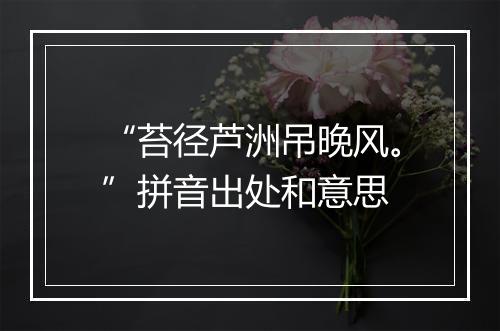 “苔径芦洲吊晚风。”拼音出处和意思