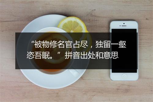 “被物修名官占尽，独留一壑恣吾眠。”拼音出处和意思