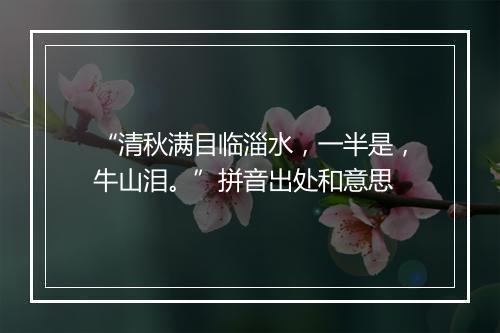 “清秋满目临淄水，一半是，牛山泪。”拼音出处和意思