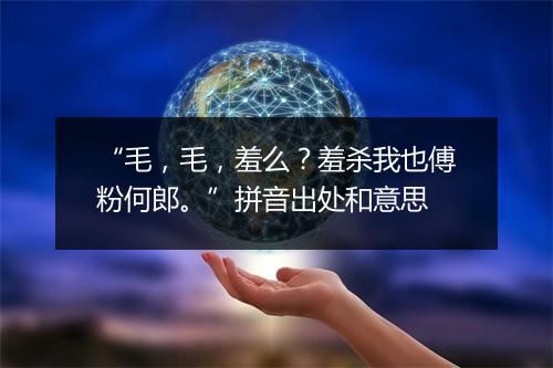 “毛，毛，羞么？羞杀我也傅粉何郎。”拼音出处和意思