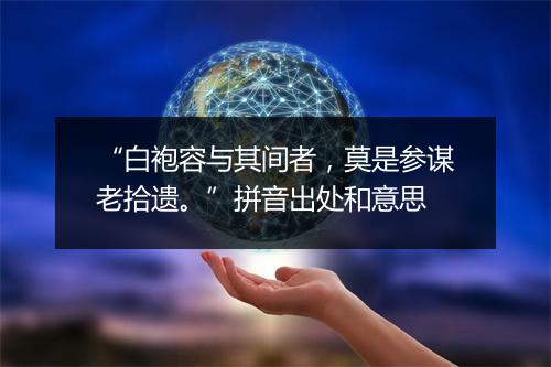 “白袍容与其间者，莫是参谋老拾遗。”拼音出处和意思