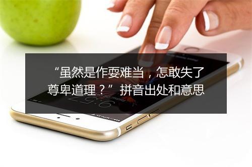 “虽然是作耍难当，怎敢失了尊卑道理？”拼音出处和意思