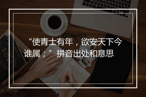 “使青士有年，欲安天下今谁属；”拼音出处和意思