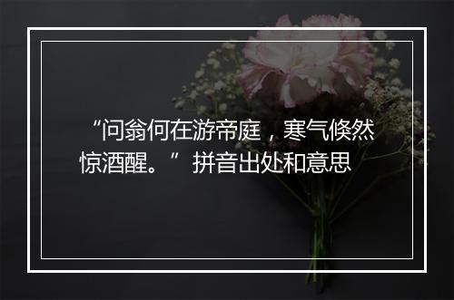 “问翁何在游帝庭，寒气倏然惊酒醒。”拼音出处和意思