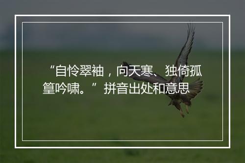 “自怜翠袖，向天寒、独倚孤篁吟啸。”拼音出处和意思