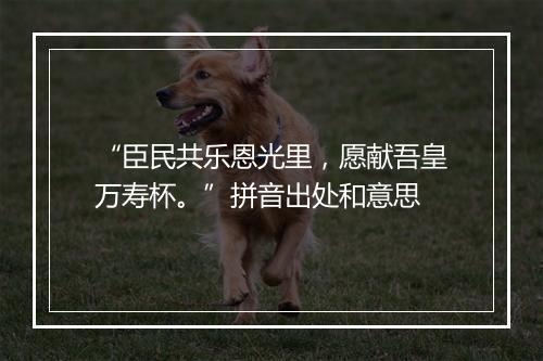 “臣民共乐恩光里，愿献吾皇万寿杯。”拼音出处和意思