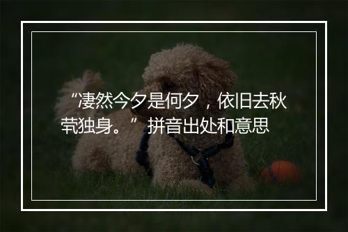 “凄然今夕是何夕，依旧去秋茕独身。”拼音出处和意思