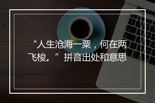 “人生沧海一粟，何在两飞梭。”拼音出处和意思