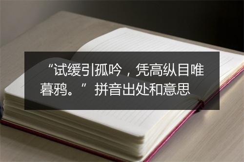 “试缓引孤吟，凭高纵目唯暮鸦。”拼音出处和意思