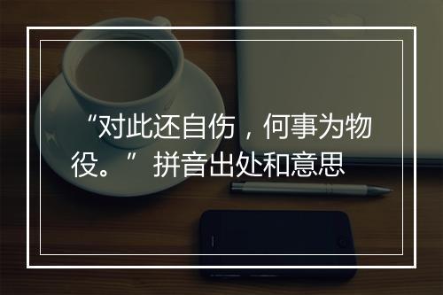 “对此还自伤，何事为物役。”拼音出处和意思