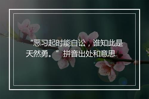 “恶习起时能自讼，谁知此是天然勇。”拼音出处和意思