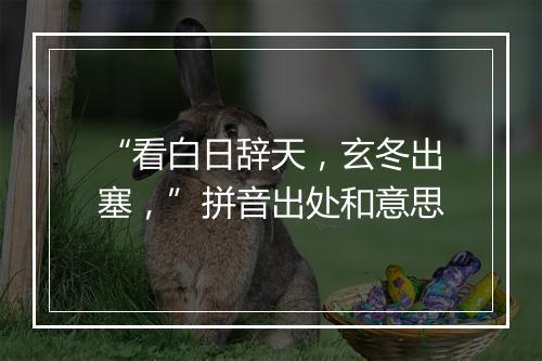 “看白日辞天，玄冬出塞，”拼音出处和意思