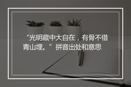 “光明藏中大自在，有骨不借青山埋。”拼音出处和意思