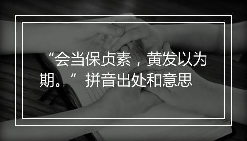 “会当保贞素，黄发以为期。”拼音出处和意思