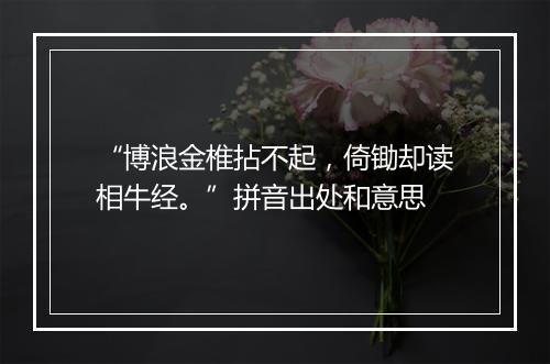 “博浪金椎拈不起，倚锄却读相牛经。”拼音出处和意思