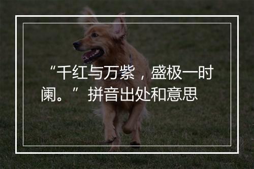 “千红与万紫，盛极一时阑。”拼音出处和意思