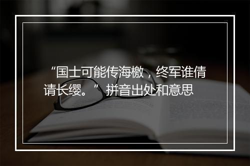 “国士可能传海檄，终军谁倩请长缨。”拼音出处和意思