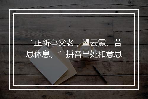 “正新亭父老，望云霓、苦思休息。”拼音出处和意思